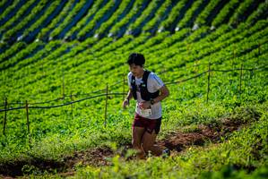 BIB: 119
                            <button type="button" onclick="openModal(19160590)" class="btn btn-primary btn-sm float-right btn-popup" data-toggle="modal" data-target=".modal-high-quality">
                        <i class="fas fa-shopping-cart"></i> Add to Cart
                    </button>
                                            <button type="button" onclick="isThisMe(19160590, true)" class="btn btn-success btn-sm float-right btn-popup btn-isme hidden" data-toggle="tooltip" data-placement="bottom" title="นี่คือรูปของคุณใช่ไหม คลิกที่นี่เพื่อเอาเข้าอัลบั้ม">
                        <i class="fas fa-plus"></i> Add to album
                    </button>
                    <button type="button" onclick="isThisMe(19160590, false)" class="btn btn-warning btn-sm float-right btn-popup btn-isnotme hidden">
                        <i class="fas fa-ban"></i> Remove from album
                    </button>